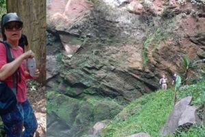 Operação encontra rastros de onça e vasculham cavernas na busca por idosa sumida em São Gabriel