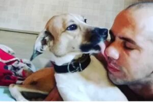 Cachorrinha foi encontrada após ficar 45 dias desaparecida