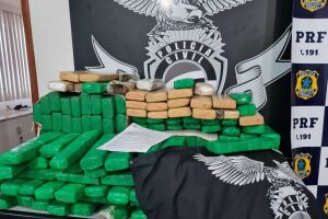 Droga foi apreendida em uma estrada vicinal