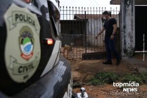 Delegacia já tem 21 registros de maus-tratos animais em três meses em Campo Grande
