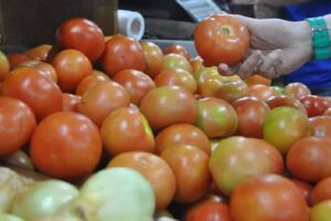 Preço do tomate dispara em Campo Grande