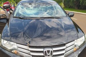 Atropelamento ocorreu na Thirson de Almeida 