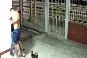 Família procurou o mascote por sete dias na Colômbia 