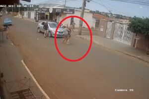 Vizinha socorre menina atropelada 