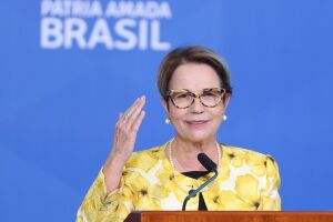 Deputada Tereza Cristina destacou sobre desafios do setor