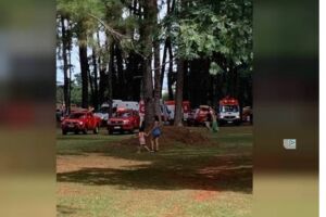 Criança cai de árvore e sofre parada cardiorespiratória no DF