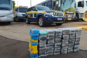 Cocaína estava em ''carro de família''