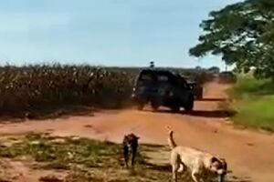 Choque foi recebido a tiros em fazenda 