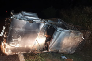 Caminhonete capotou ao bater em uma anta
