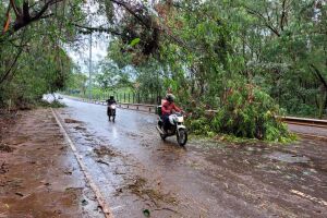 Em pouco tempo, temporal deixou pequenos estragos e riscos aos motoristas e motociclistas