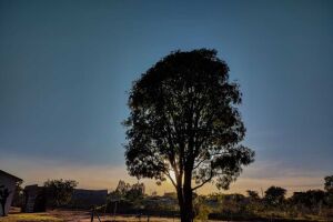Céu de Campo Grande