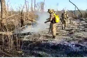 Operação Pantanal  intensifica ações para combater incêndio, com reforço em MS