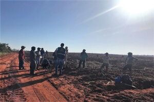 Crítico: 43 trabalhadores são resgatados em condições de escravidão em Naviraí