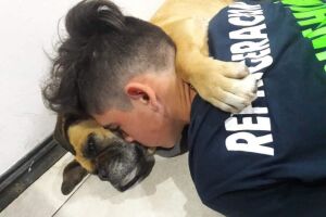 Cadela morre abraçada ao dono após sofrer ataque cardíaco causado por fogos de artifício