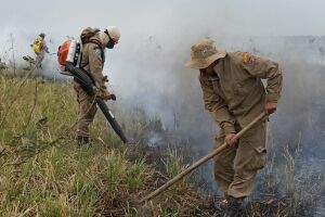Incêndios de 2020 no Pantanal viraram notícia internacional