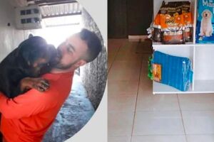 Danilo foi elogiado por amor aos cães de rua 