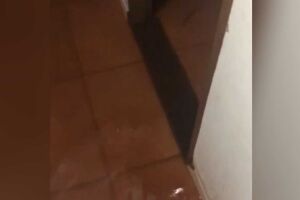 Água entrou com tudo nas casas dos moradores
