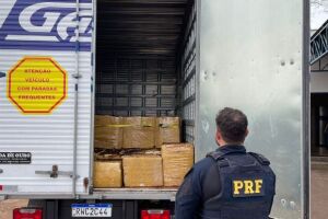 Funcionários 'fake' são presos com mais de 3 toneladas de maconha em MS

