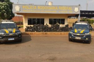 Homens são presos com 1,5 tonelada de maconha em caminhão