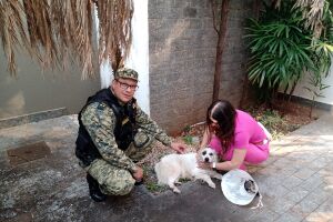 Cachorro é resgatado e ganha novo lar em Campo Grande