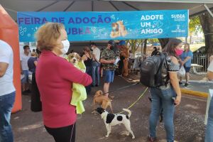 Feira de adoção