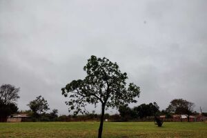 Quinta-feira será de muita chuva e baixas temperaturas em MS