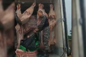 Choque flagra motorista com maconha escondida em carga de carne em Campo Grande