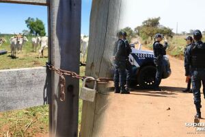 Caseiro flagra ladrões de gado e foge de tiros em fazenda de Corumbá