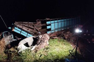 As vítimas que morreram ficaram presas na cabine