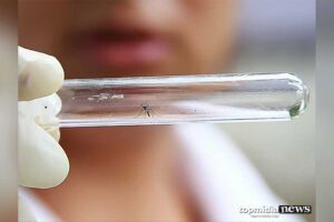 Bebê morre vítima de dengue em Mato Grosso do Sul