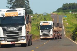 Um dos trechos terá a extensão de 116,8 km, com investimento estimado de R$ 110 milhões
