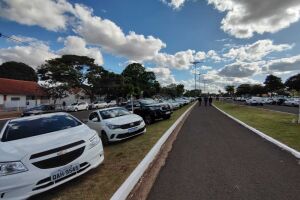 Carros estacionados no canteiro central da avenida