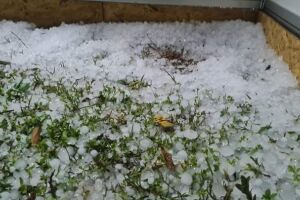 Granizo caiu em Naviraí
