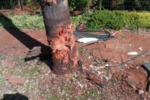 Feridos em acidente na Vila Morumbi estão internados em estado grave na Santa Casa (vídeo)