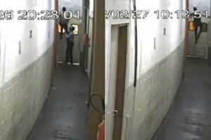 Integrantes de associação criminosa são presos por furtos em shoppings de Campo Grande