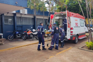 Abelhas atacam casal e motorista bate carro em poste