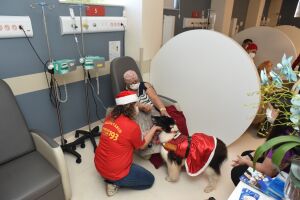 Hospital Cassems de Campo Grande recebe visitas de cães do projeto "Cão Herói, Cão Amigo"