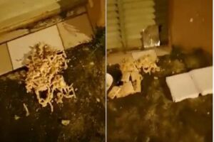 Entregador joga comida em porta de casa e grava momento (vídeo)