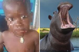 Criança de 2 anos sobrevive após ter metade do corpo engolido por hipopótamo