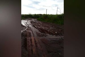 Moradores pedem asfalto em rua tomada pelo barro no Recanto das Paineiras