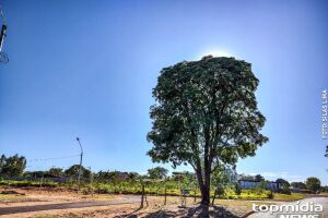 Sábado será de sol e com previsão de chuva em algumas regiões de MS 