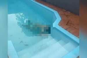 Homem enfia espeto no peito, se joga na piscina e morre no Jardim Flamboyant (vídeo)