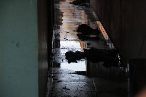 Estupro ocorreu em casa abandonada 