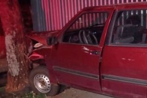 Motorista bêbado bate em árvore e vai preso em Nova Andradina