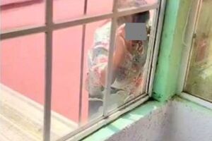 Idosa procurou, mas não achou vizinho com o celular 