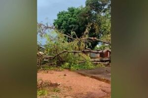 Ponta Porã registra temporal e até queda de granizo