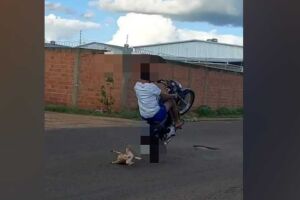 Homem empina moto e atropela cachorro no Paulo Coelho Machado (vídeo)