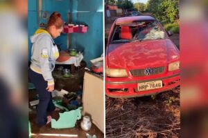 Filha de idosos atropelados relatou o ocorrido