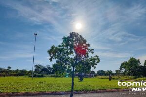 Calor continua intenso no Estado