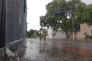 Chuvinha de verão apareceu nas primeiras horas de hoje